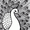 Peacock Coloring Page