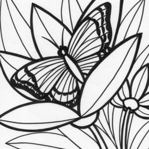 Rainforest butterfly coloring page