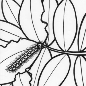 Rainforest caterpillar coloring page