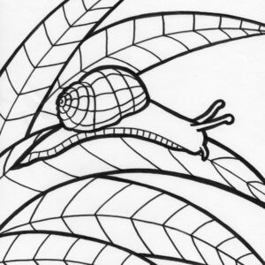 Rainforest snail coloring page