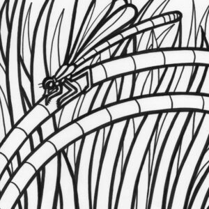 Rainforest dragonfly coloring page