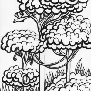 Rainforest vines coloring page