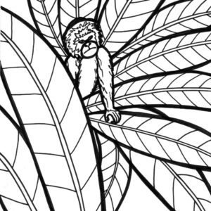 Rainforest monkey coloring page