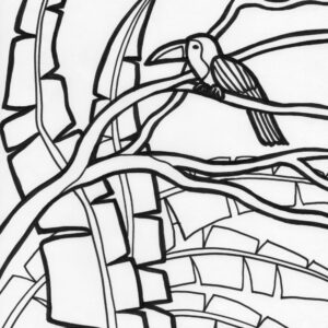 Rainforest tocan coloring page