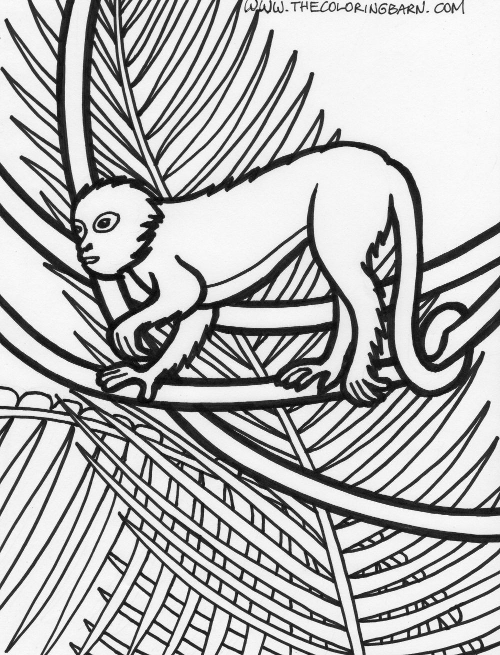 Rainforest Monkey coloring pages