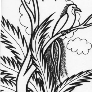 Rainforest bird coloring page