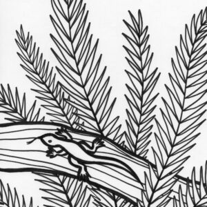 Rainforest lizard coloring page