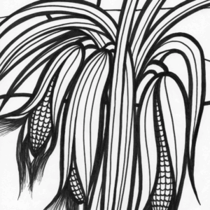 Thanksgiving corn coloring page