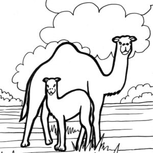 camel coloring page