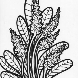 wild flowers coloring page