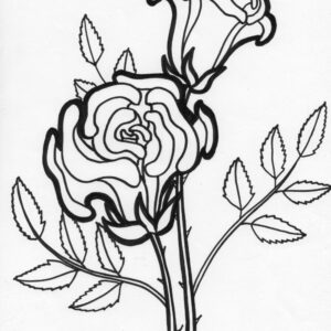 rose flower coloring page