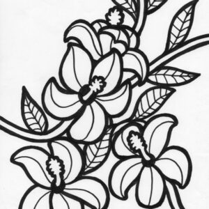 hibiscus flower coloring page