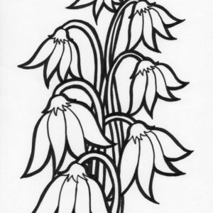 moon flower coloring page
