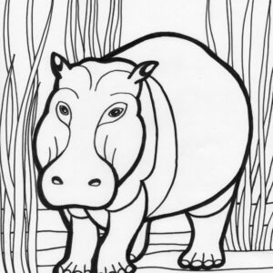 Hippo Coloring Page
