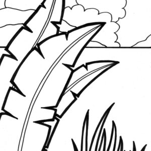 island ocean coloring page