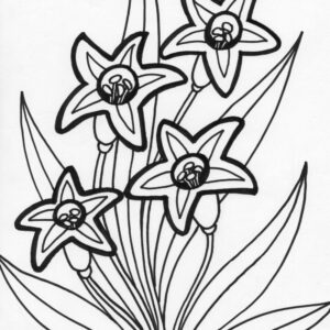 star flower coloring page
