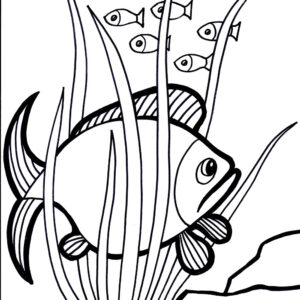 Fish Coloring2 Coloring Page