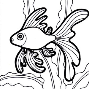 Fish Coloring6 Coloring Page