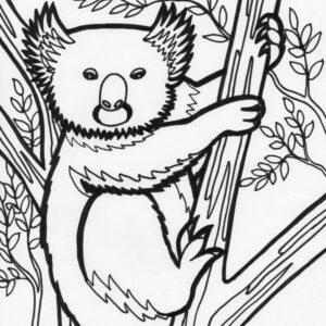 Koala Coloring Pages