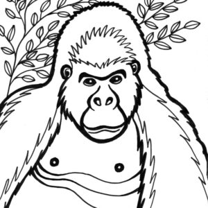 Gorilla Coloring Pages