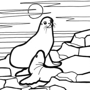 Seal Coloring Pages