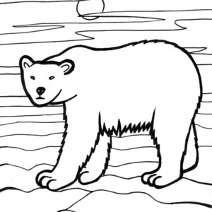 Polar Bear Coloring Pages