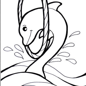 Dolphin Coloring Pages4 Coloring Page
